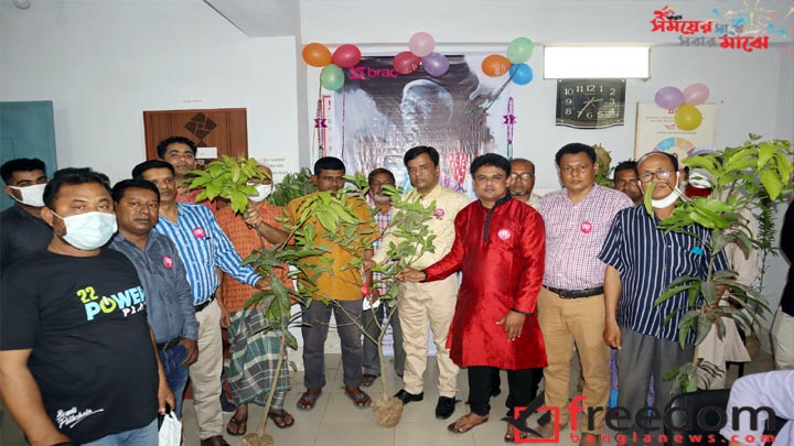 সূবর্ণ জয়ন্তী উপলক্ষে ফুলবাড়ীতে ব্র্যাকের গাছের চারা বিতরণ